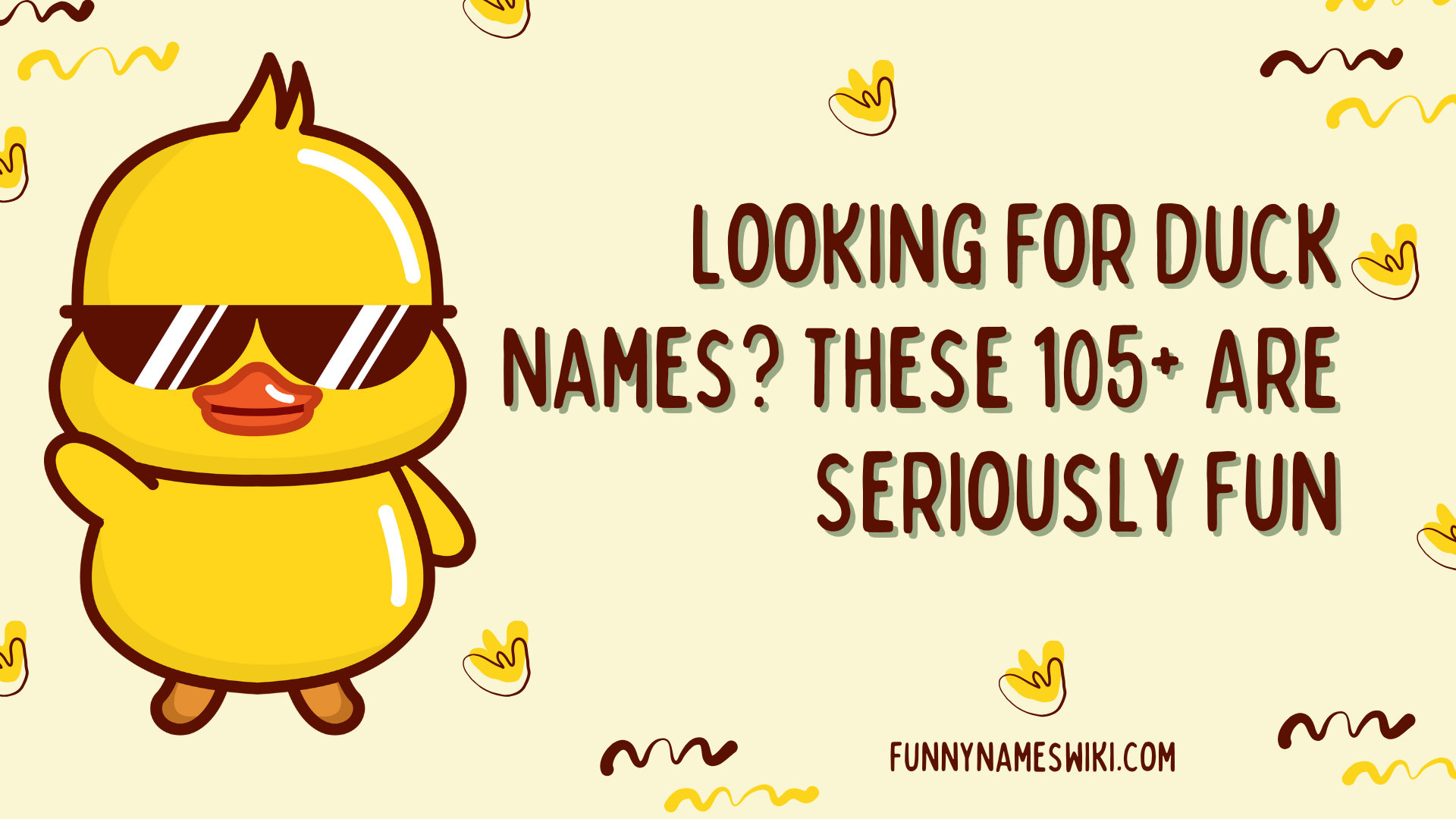 Looking for Duck Names? These 105+ Are Seriously Fun