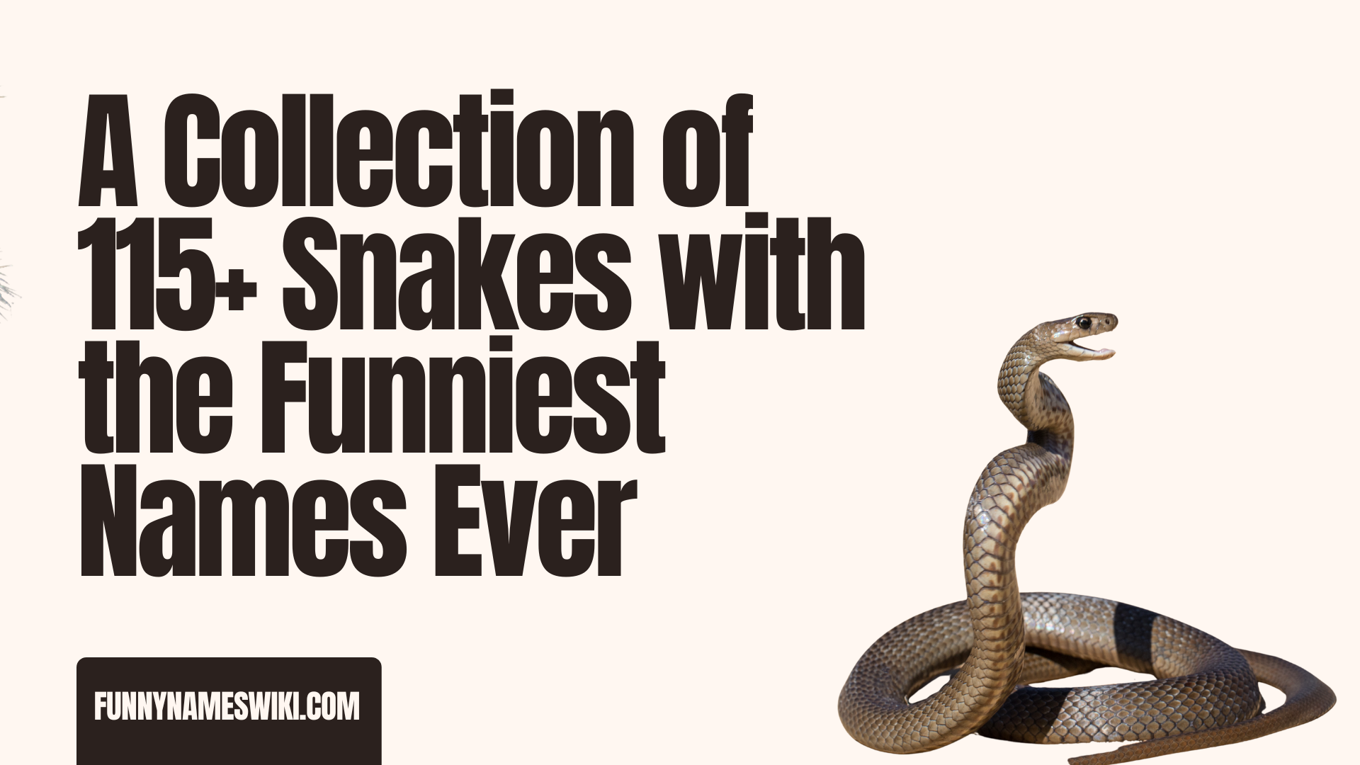 A Collection of 115+ Snakes with the Funniest Names Ever