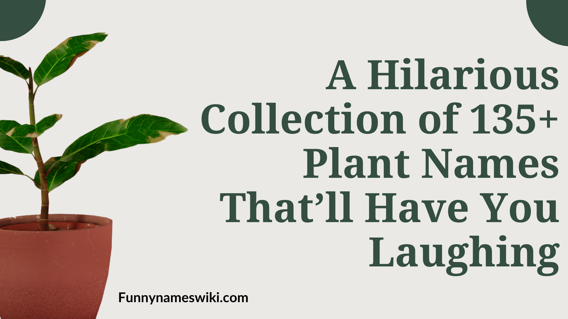 A Hilarious Collection of 135+ Plant Names That’ll Have You Laughing