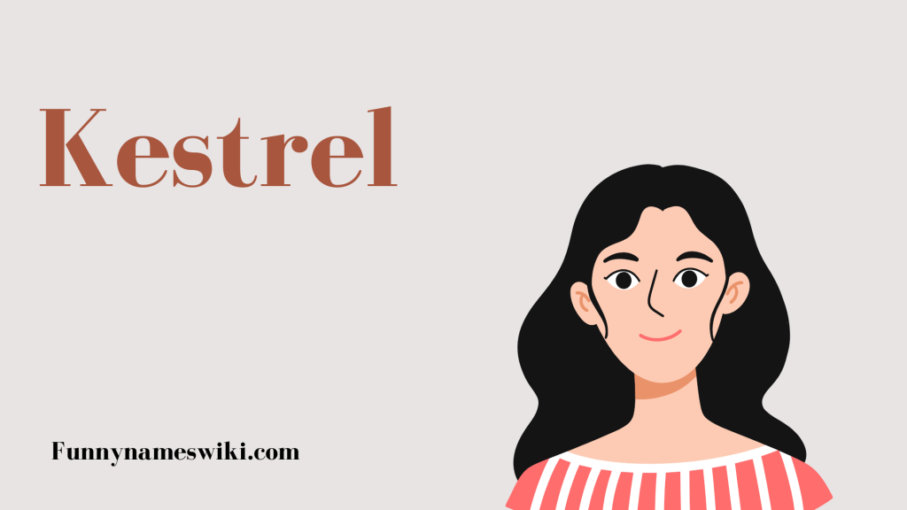 Kestrel