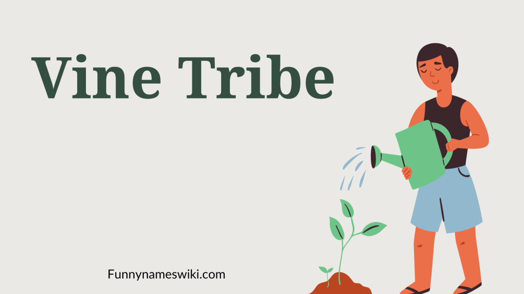 Vine Tribe