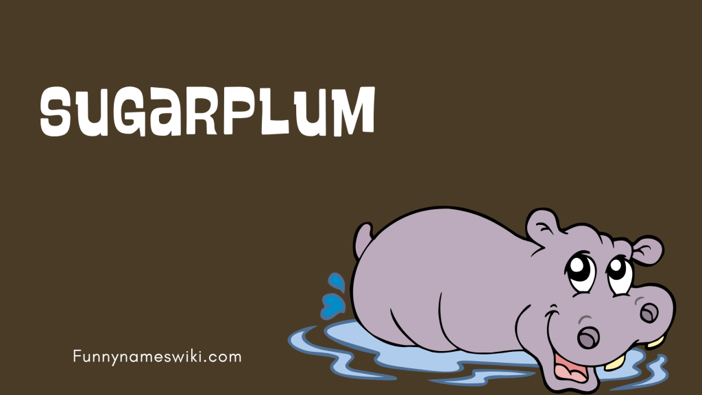 Sugarplum