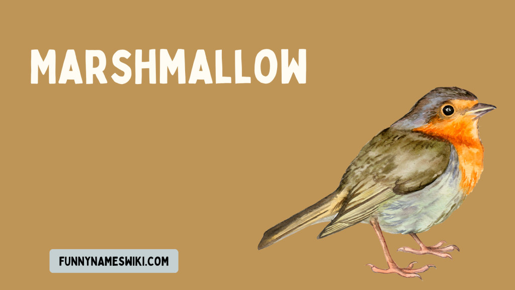Marshmallow