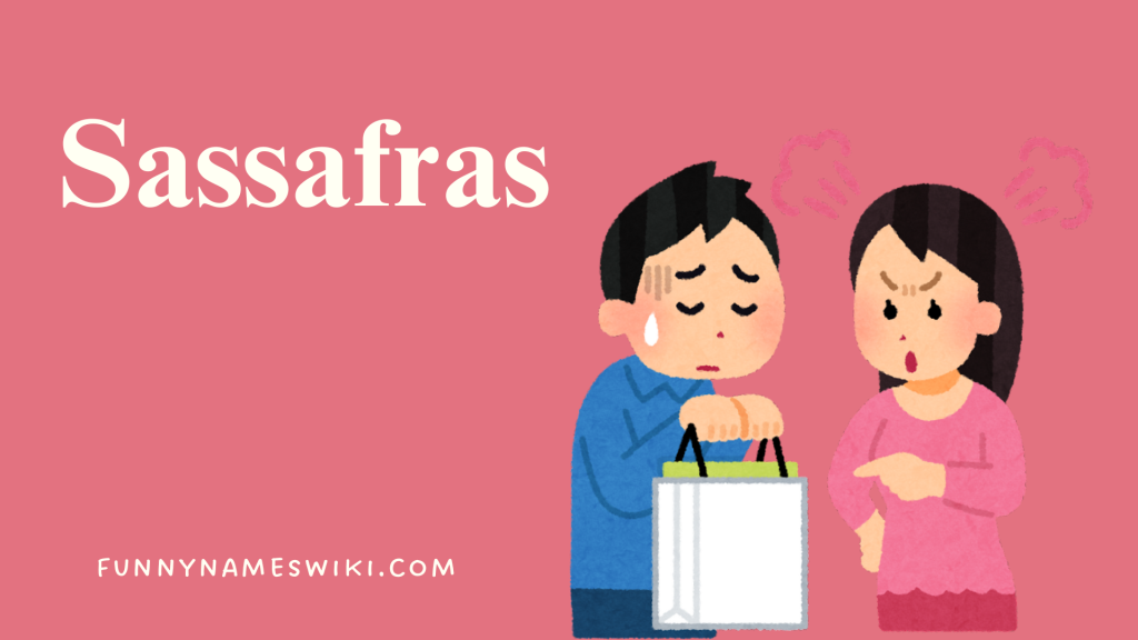 Sassafras