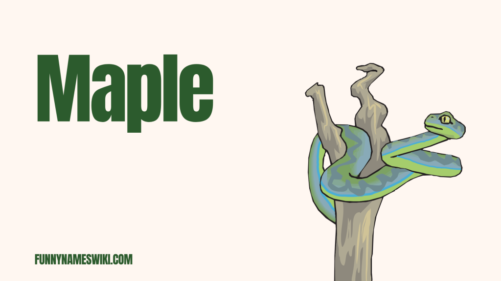 Maple