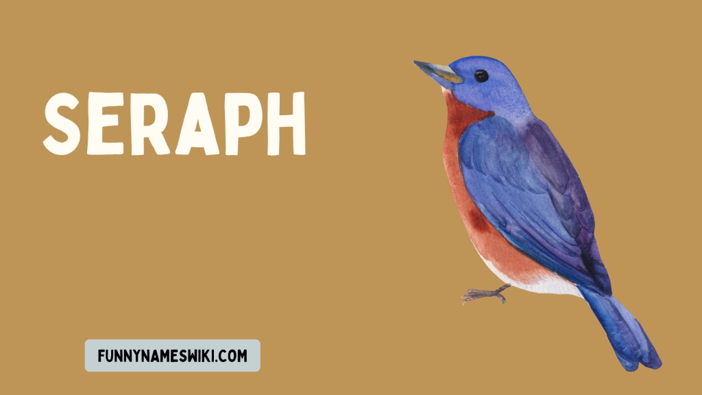 Seraph