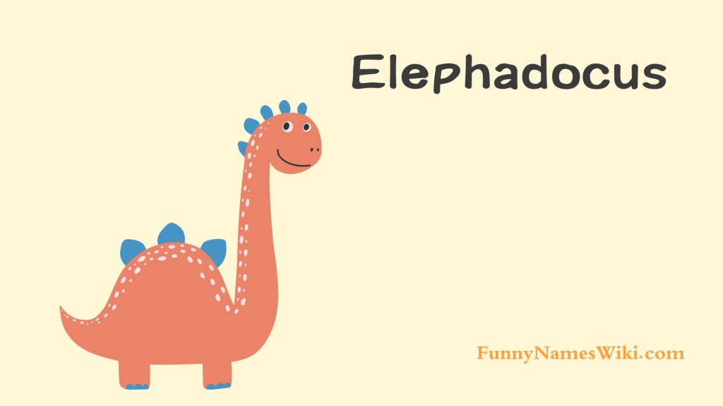 Elephadocus