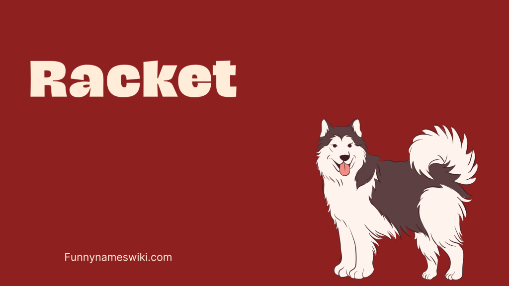 Racket