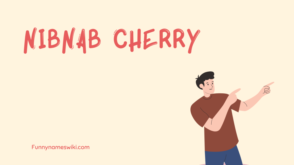 NibNab Cherry